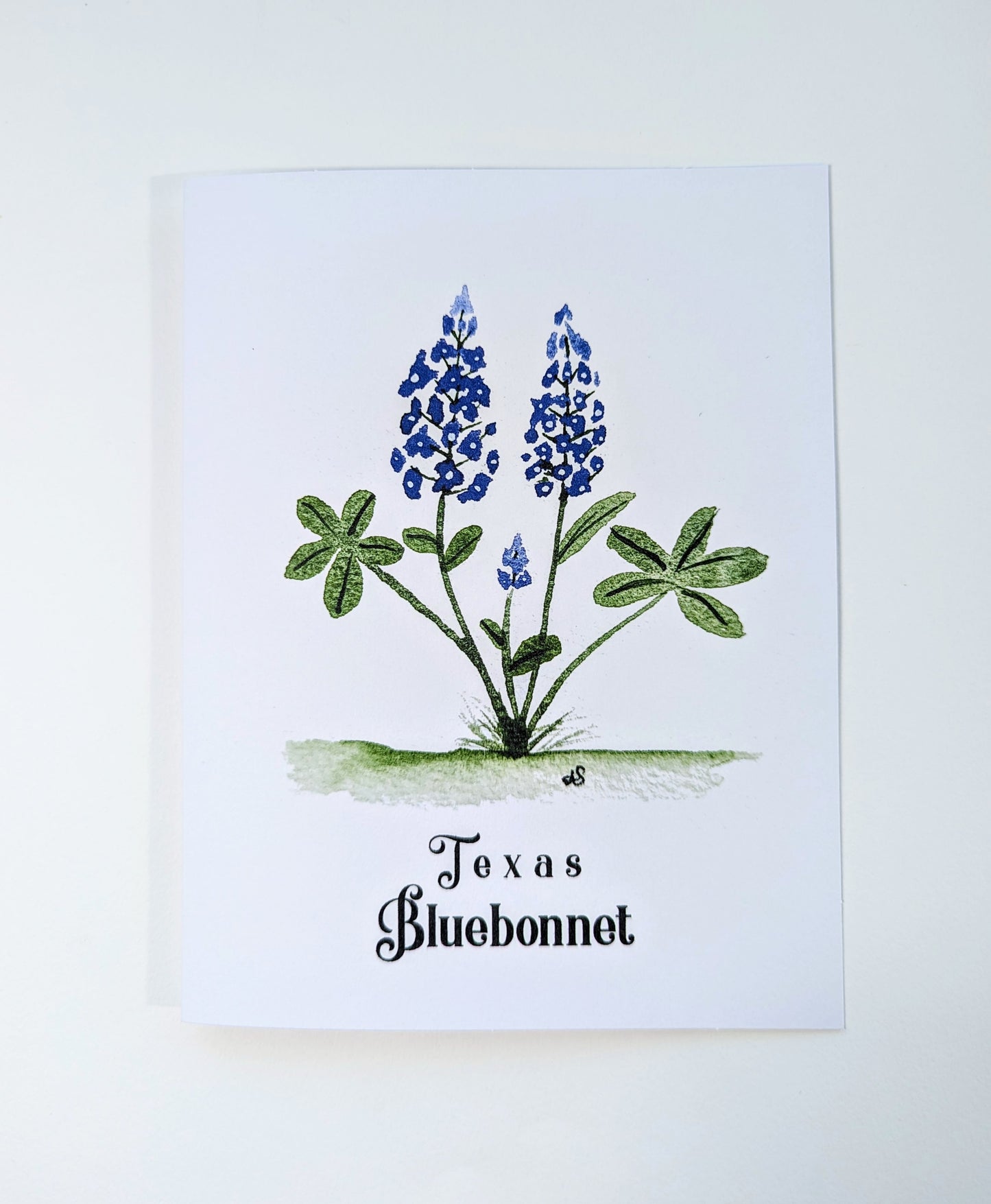 Texas Wildflower Notecards