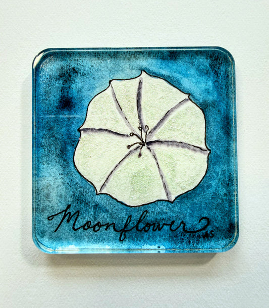 Tropical Flower Acrylic Magnets, set of four