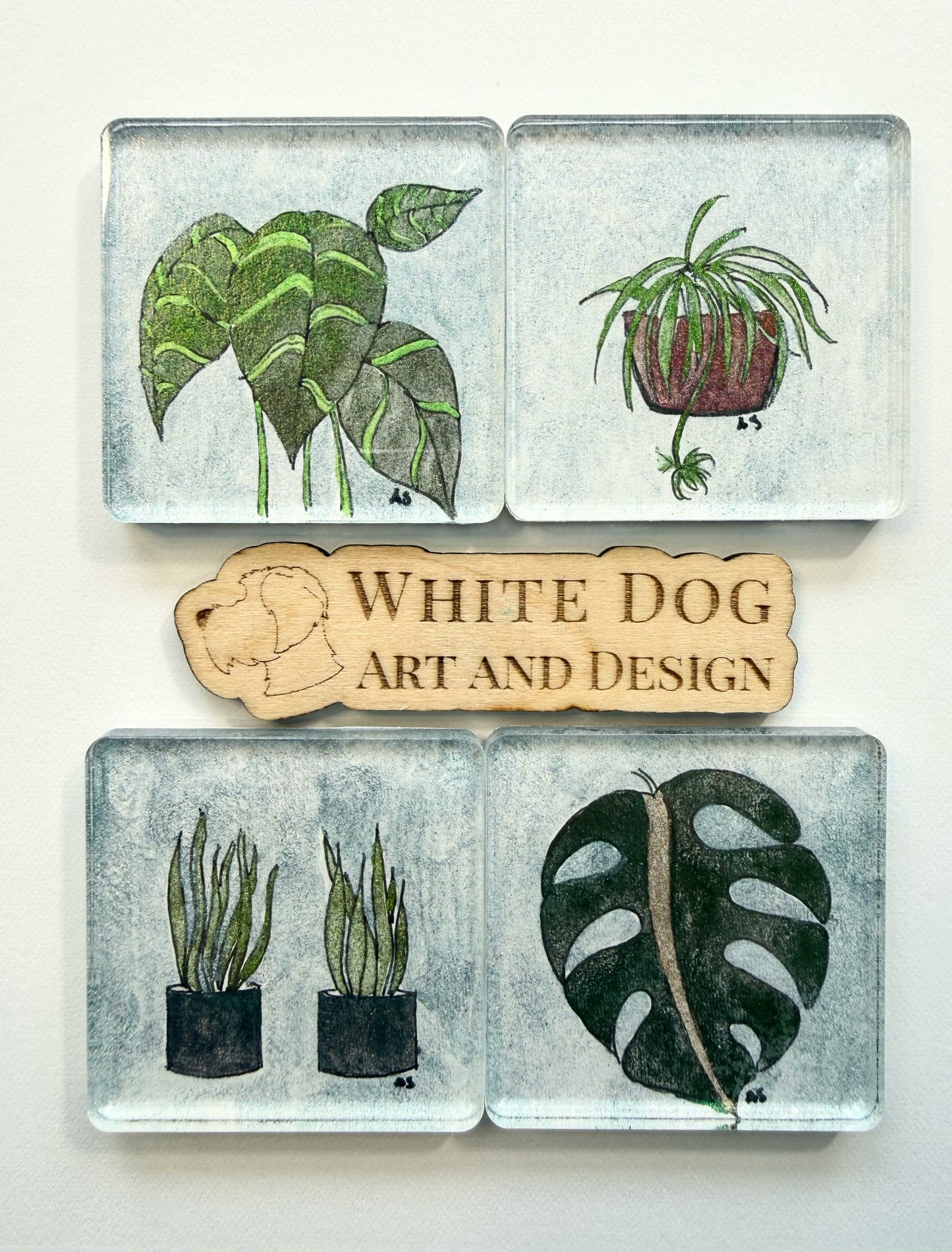 Houseplants Acrylic Magnets, set of four