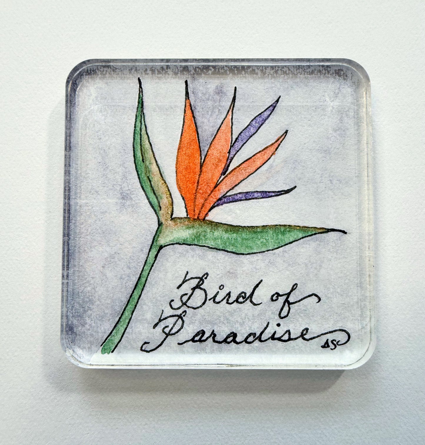 Tropical Flower Acrylic Magnets, set of four