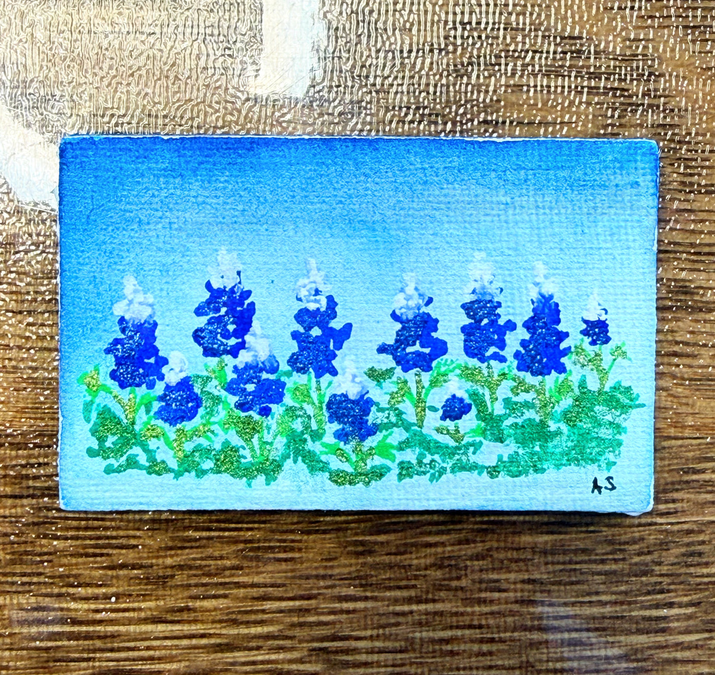 Set of Four Spring Magnets