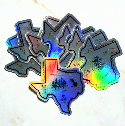 Texas Wildflowers