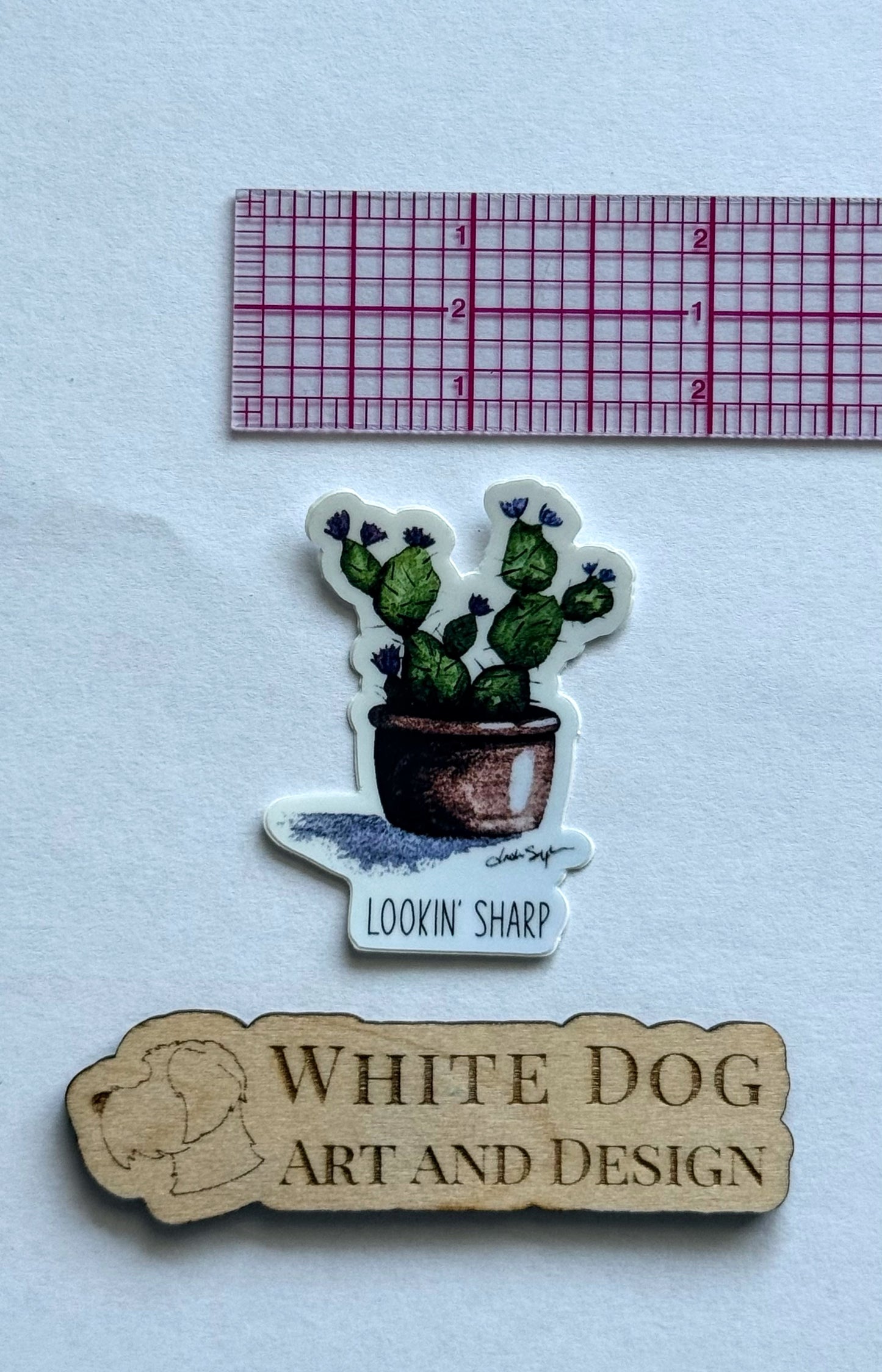 Sticker Collection—Inspirational Stickers