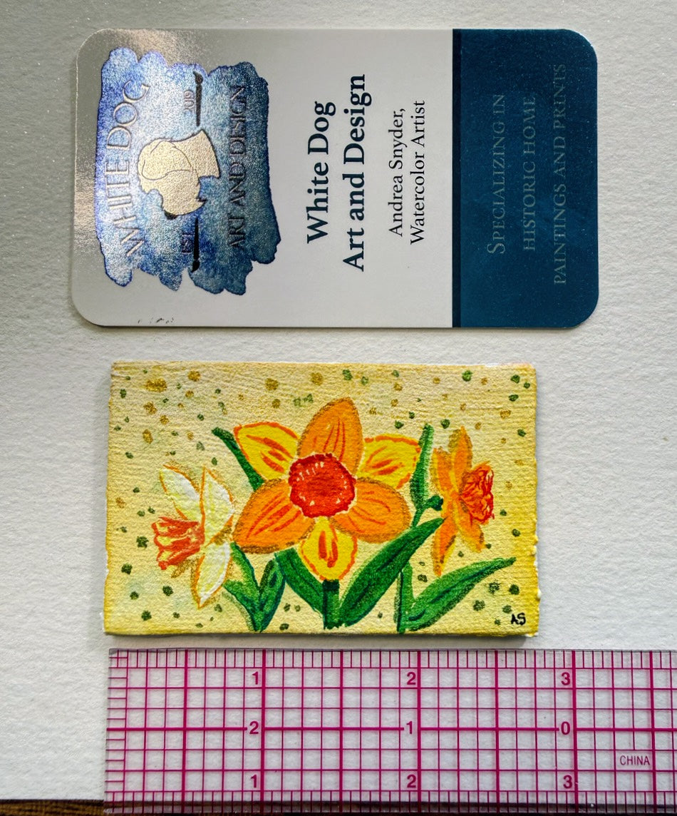 Set of Four Spring Magnets