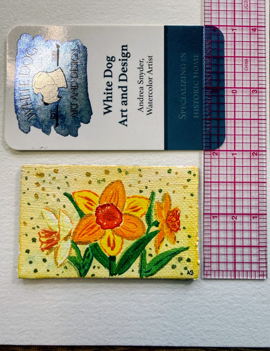 Set of Four Spring Magnets