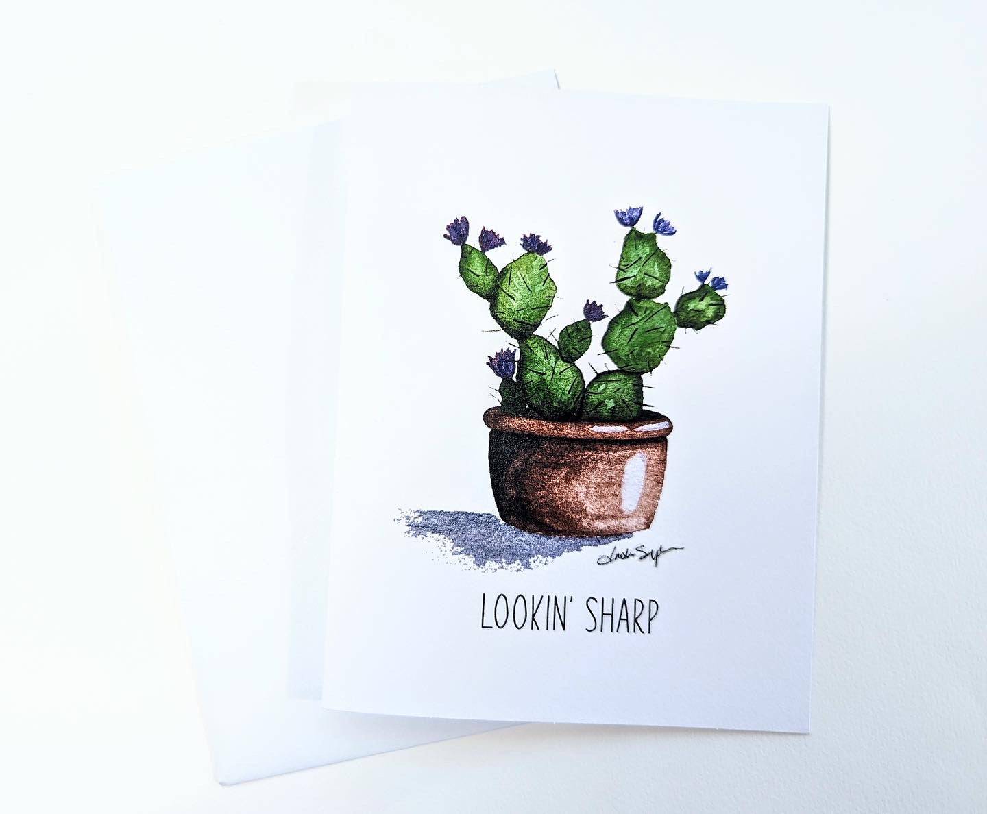 Desert-Themed Greeting Cards