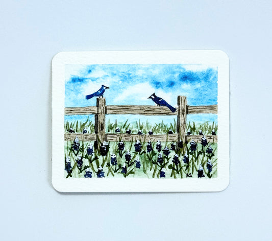 Tiny Art—Bluejays and Bluebonnets