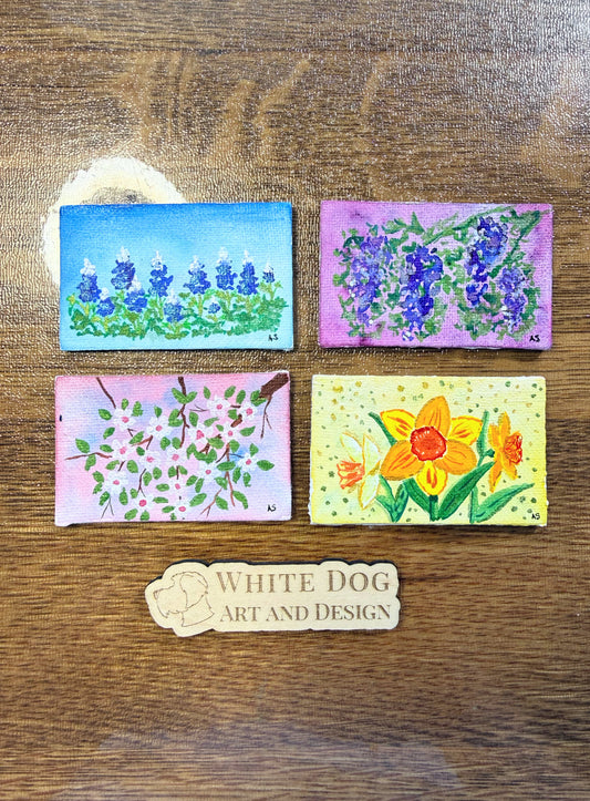 Set of Four Spring Magnets