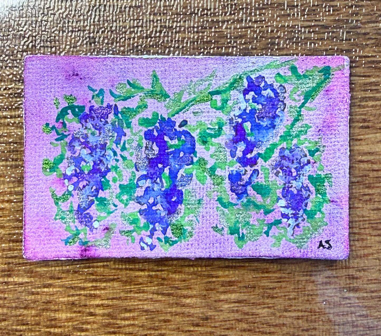 Set of Four Spring Magnets