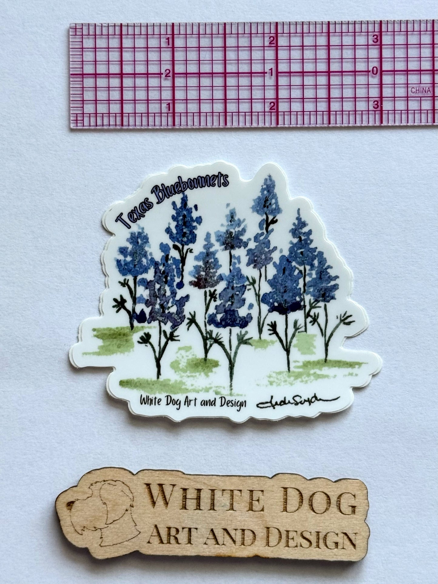 Sticker Collection—Texas Themed