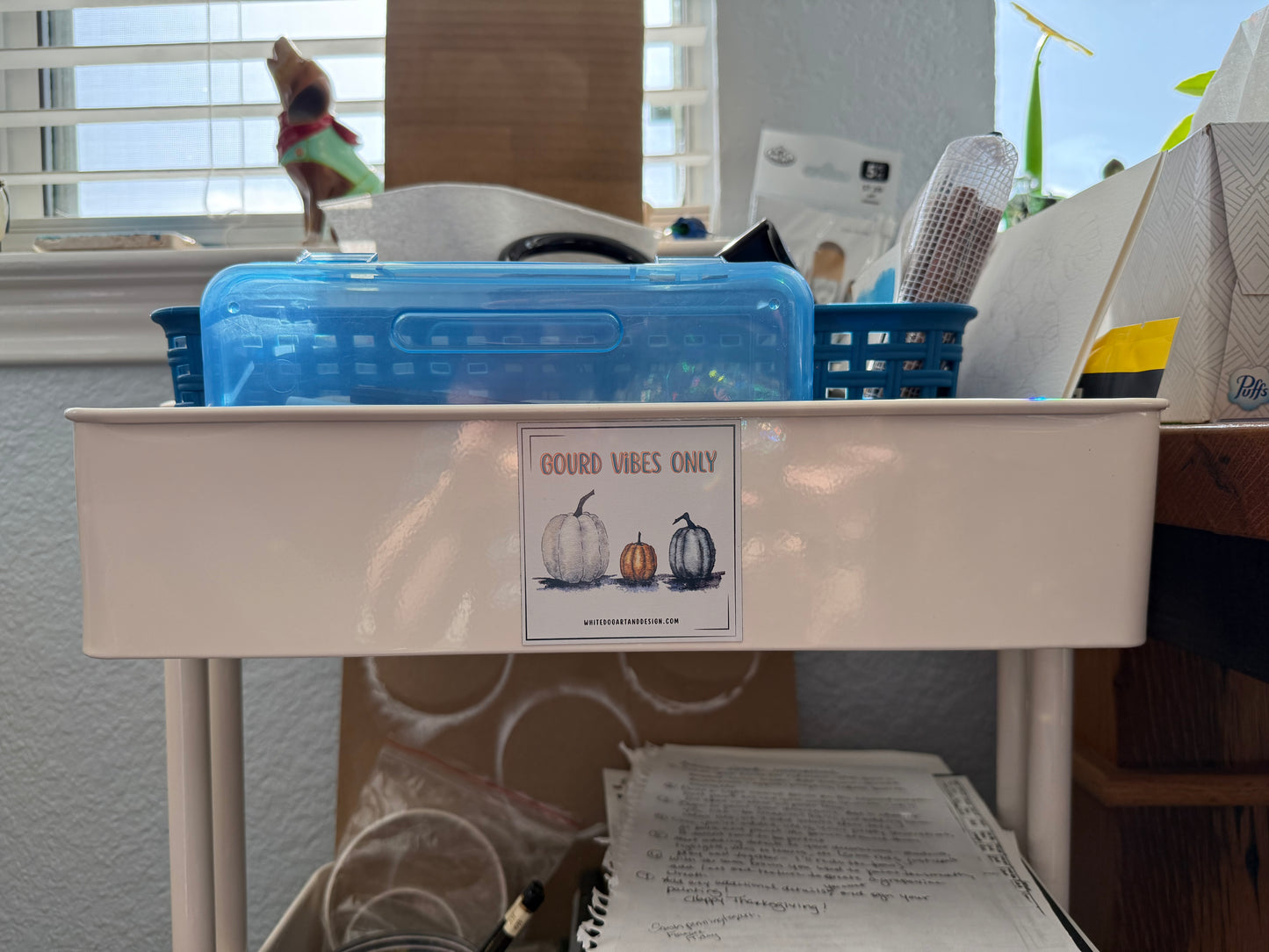 Gourd Vibes Only Magnet