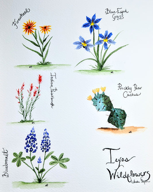 Texas Wildflower Notecards