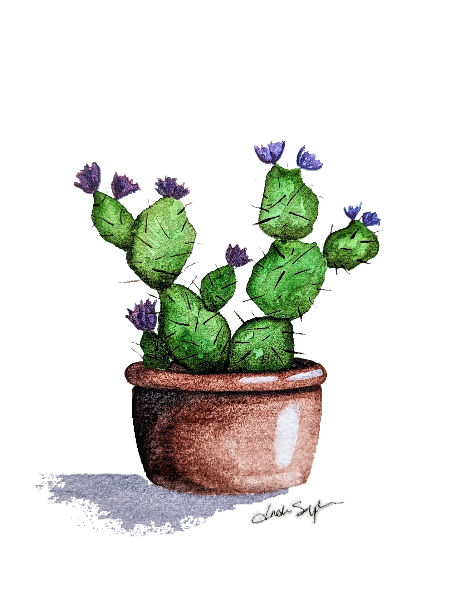 Texas Cactus Cards