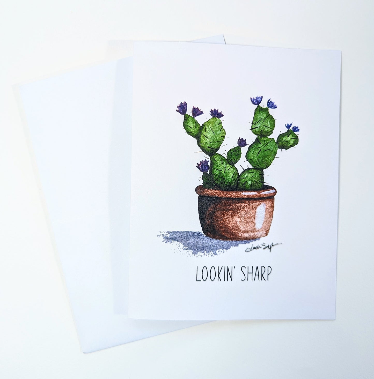 Desert-Themed Greeting Cards
