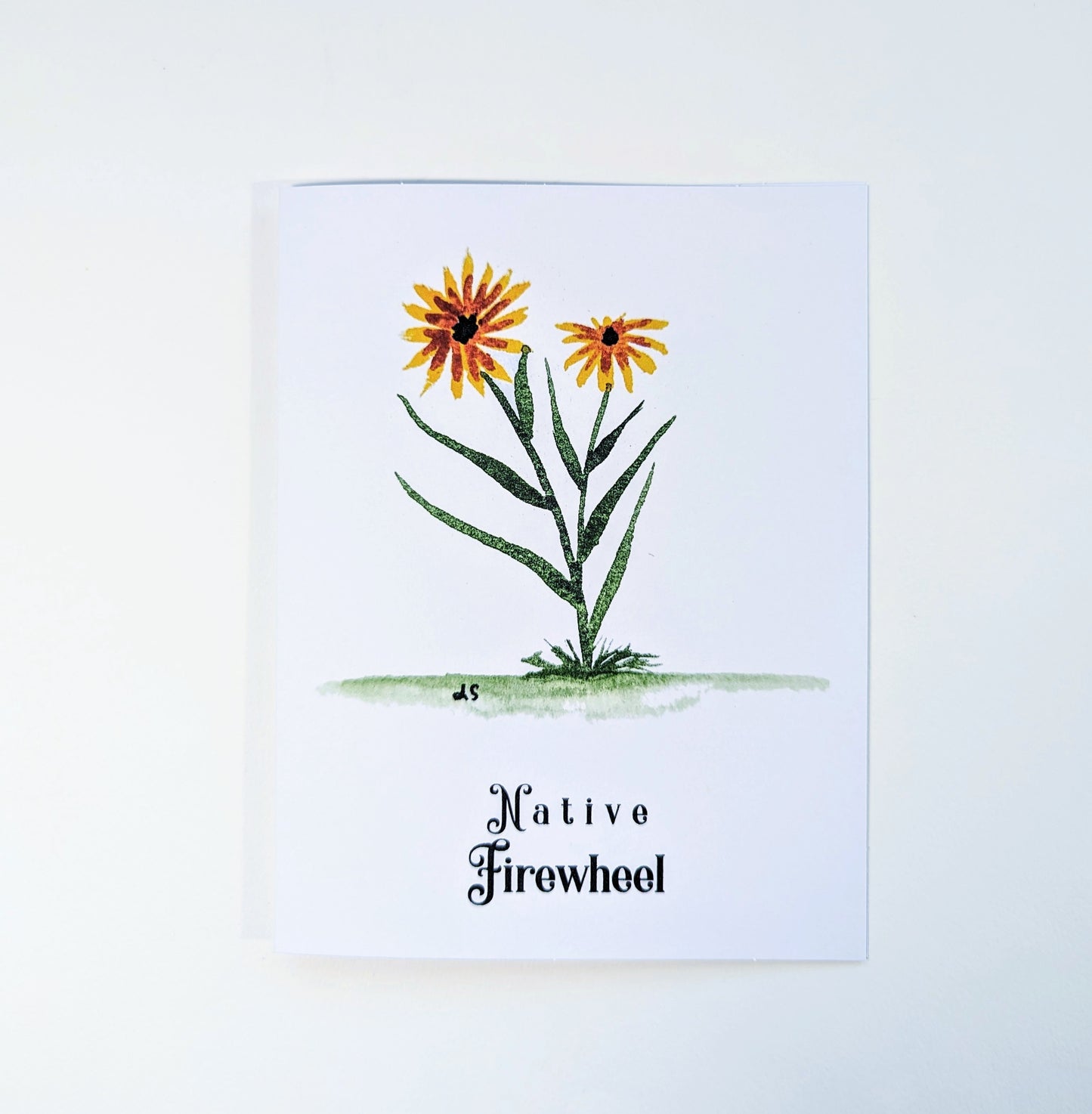 Texas Wildflower Notecards