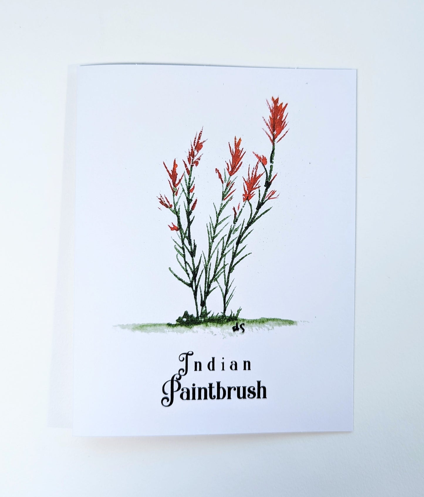 Texas Wildflower Notecards