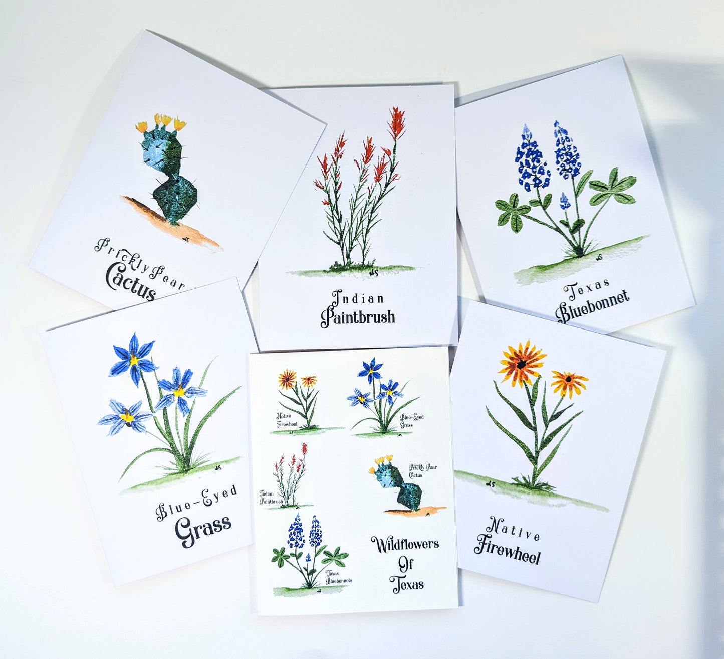 Texas Wildflower Notecards