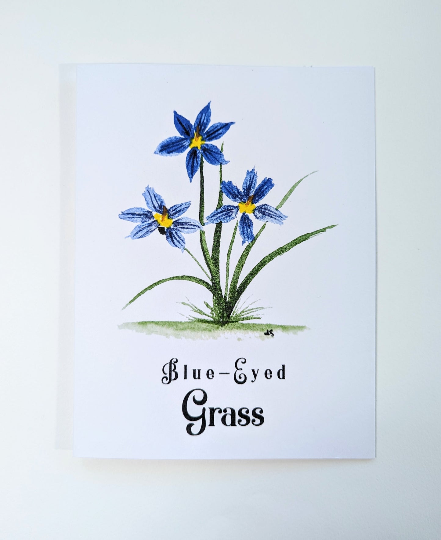 Texas Wildflower Notecards