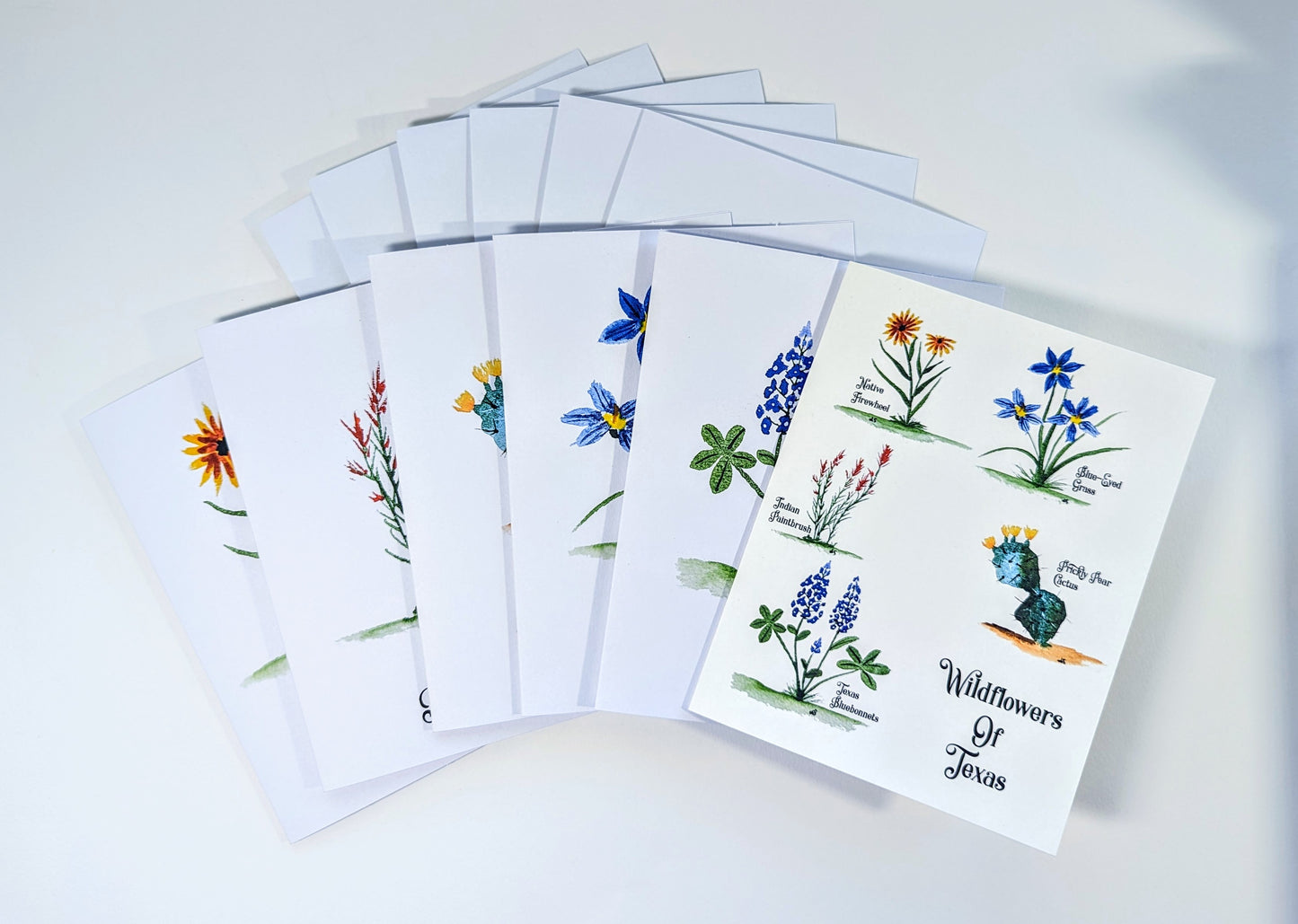 Texas Wildflower Notecards