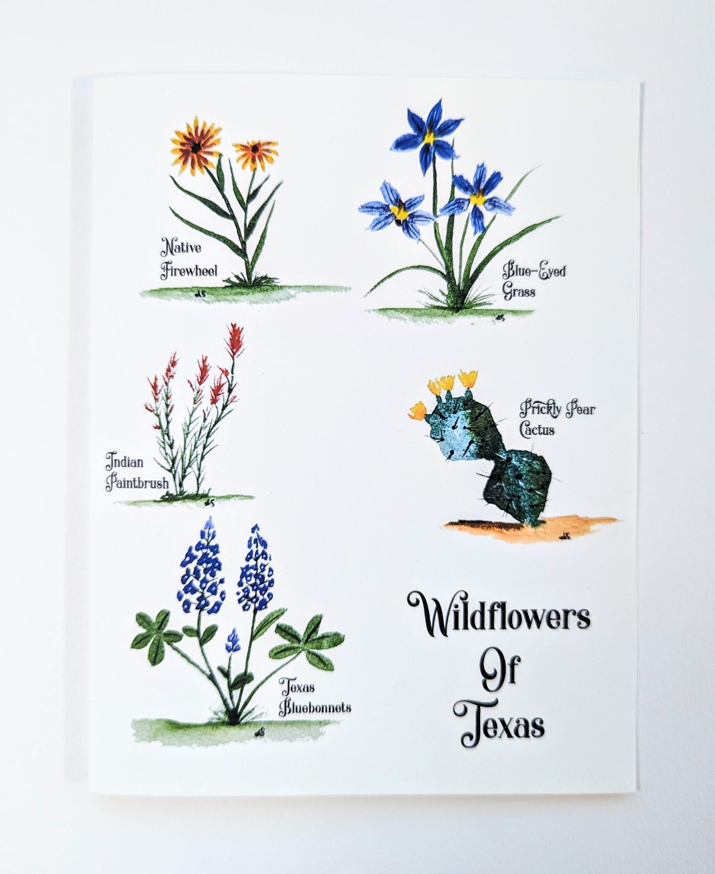 Texas Wildflower Notecards
