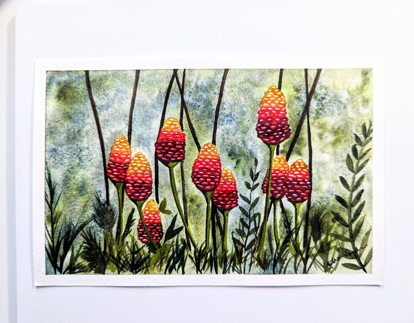 Hawaii Series—Beehive Ginger Prints