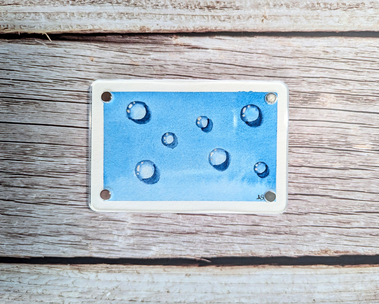 Hawaii Series—Double sided magnets