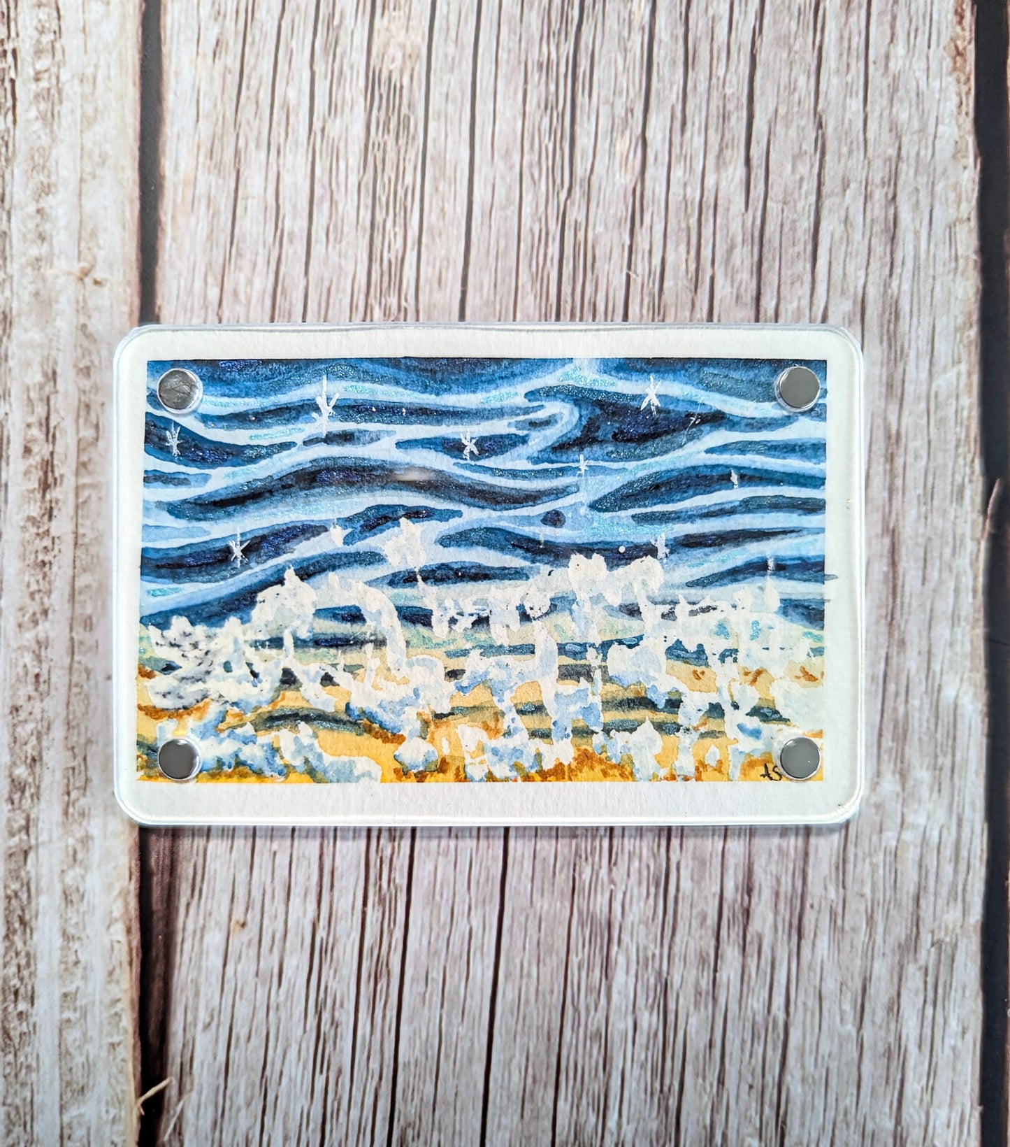 Hawaii Series—Double sided magnets