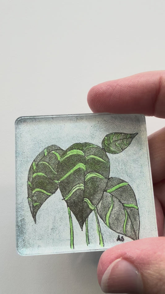 Houseplants Acrylic Magnets, set of four